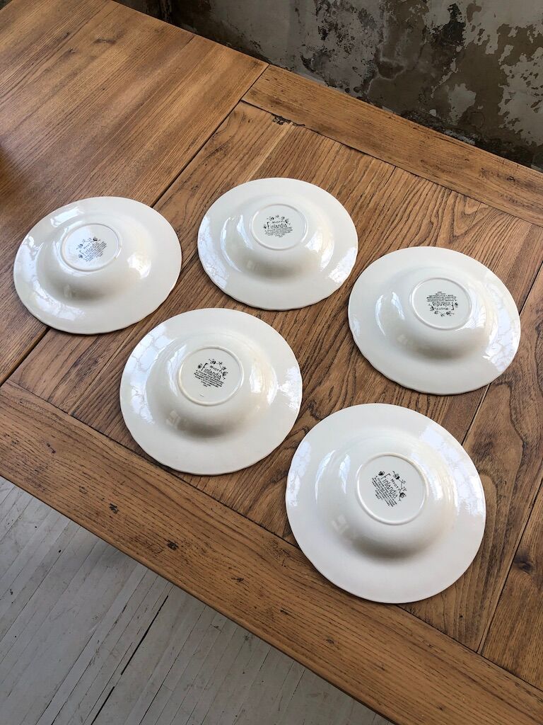 5 hollow plates Myott Finlandia