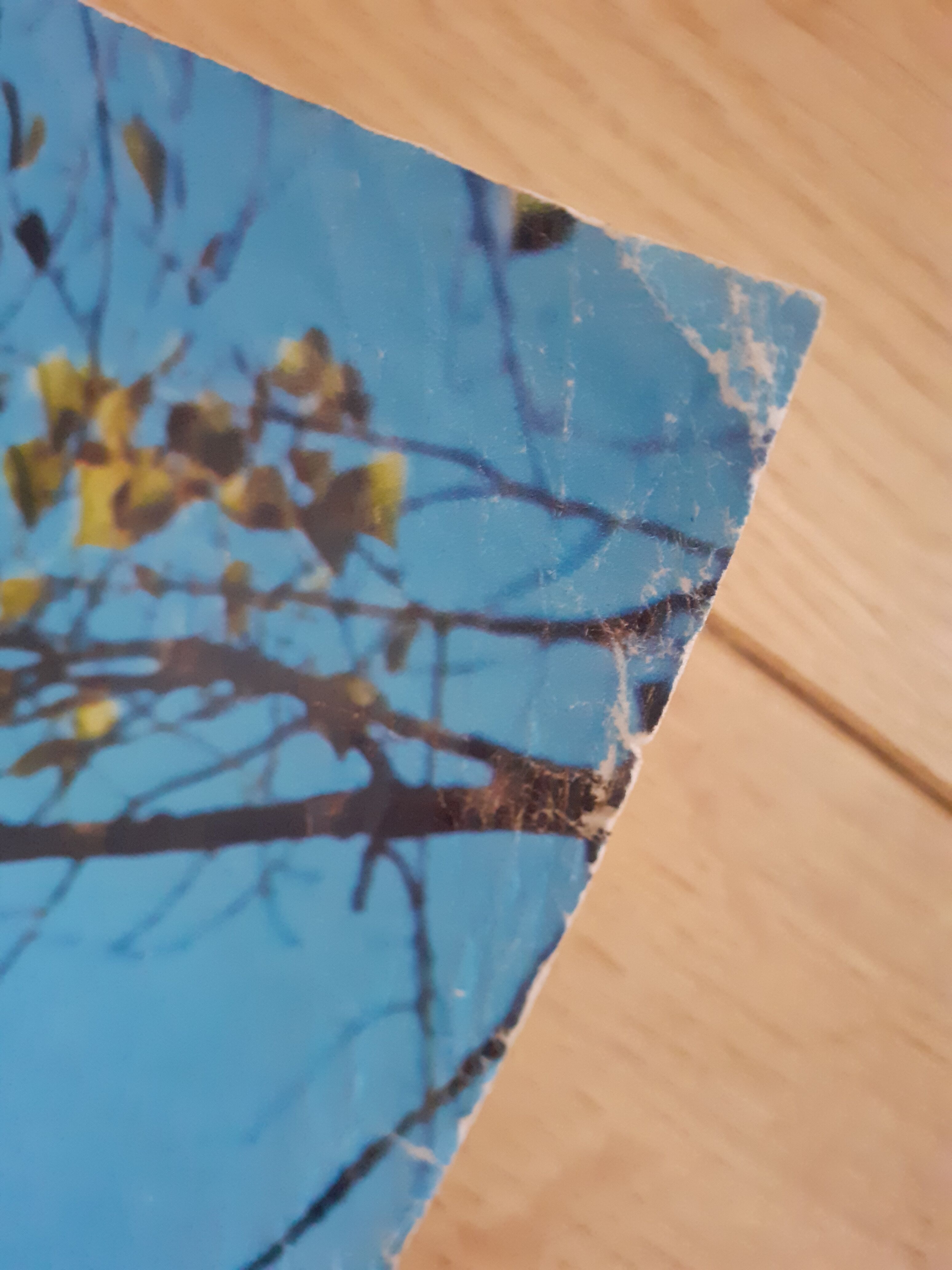 Poster Paris Notre-Dame quais de Seine 60s