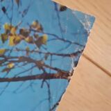 Poster Paris Notre-Dame quais de Seine 60s