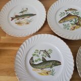 Assiette
