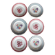 6 assiettes plates Digoin Sarregemines Marsac rouge Fleurs dorure