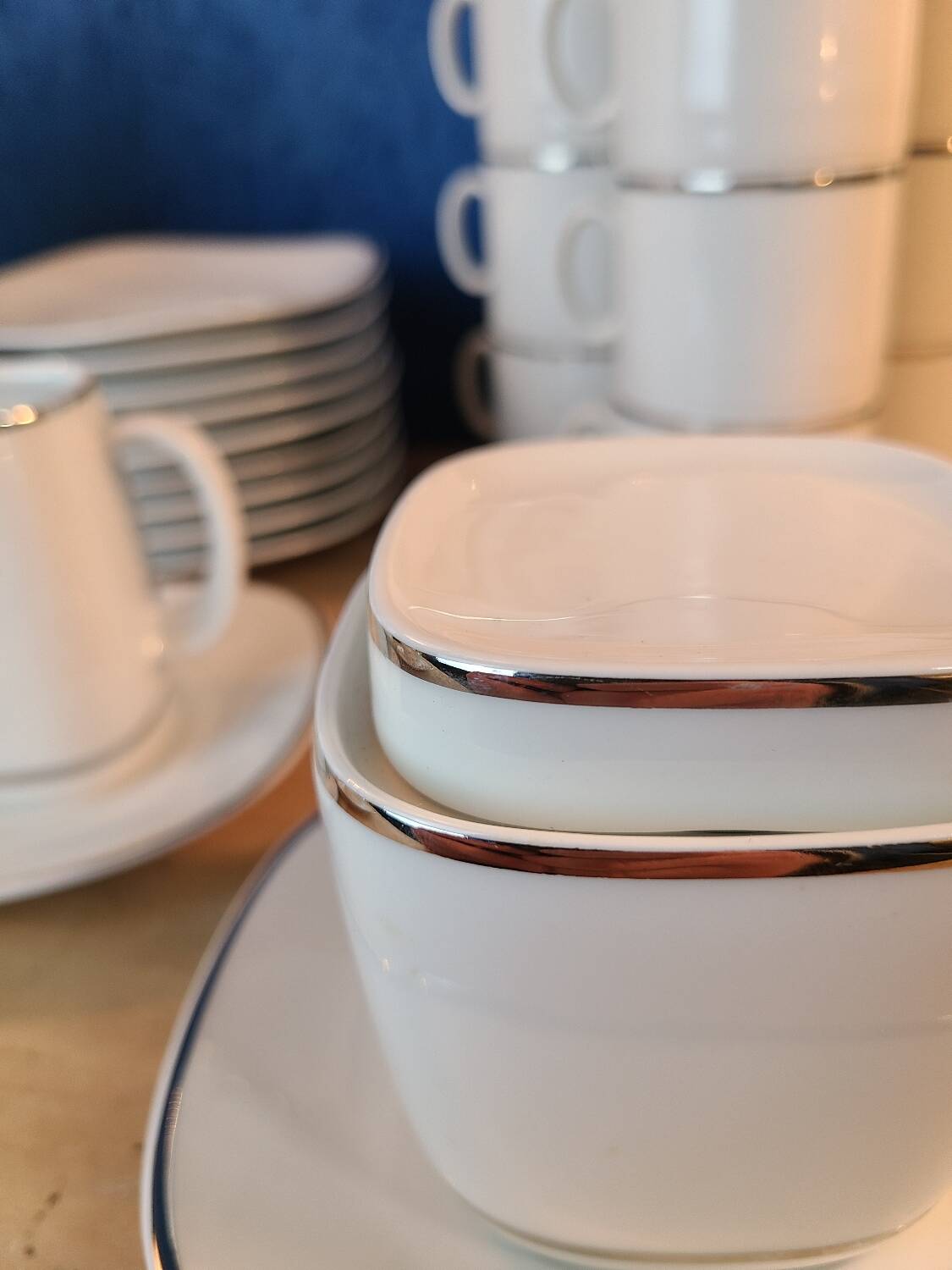 Bavaria Schirnding Complete Porcelain Tea/Coffee Set