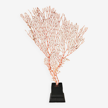 Gorgone Rouge Socle en bois. H : 30 cm | Objet de Décoration l PlaceOddity