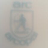 Flat plates myosotis veronica with small blue flowers