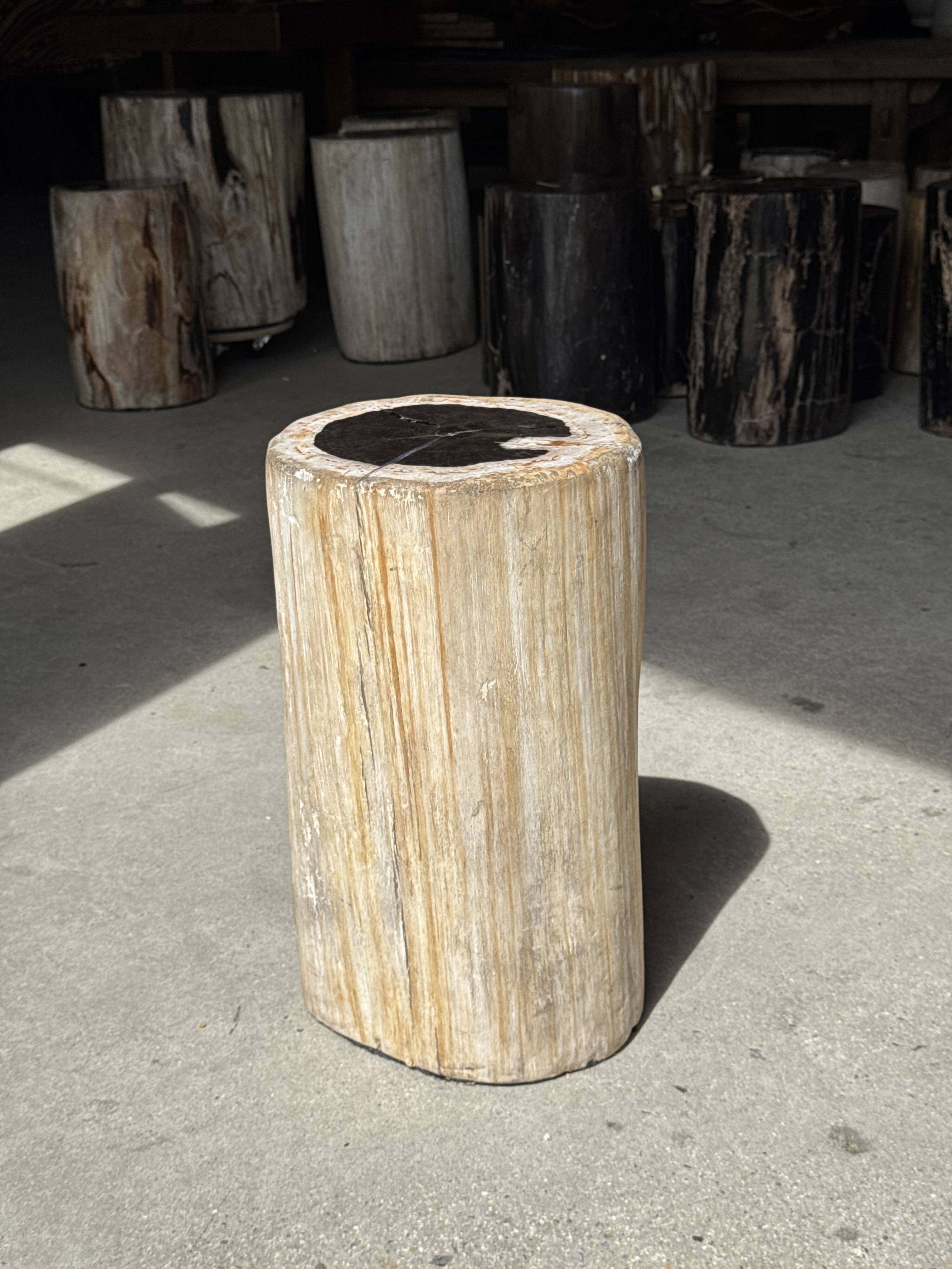 Table d'appoint en bois pétrifié, écorce blanche