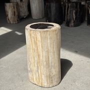 Petrified wood side table, white bark