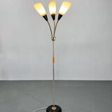 1950s Brass & Glass Adjustable Floor Lamp with Wooden Detail