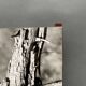 Silver gelatin photograph by Bernard Darot, 20th century study, Nantes Photo Club AFIAP