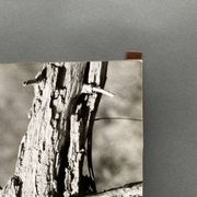 Silver gelatin photograph by Bernard Darot, 20th century study, Nantes Photo Club AFIAP