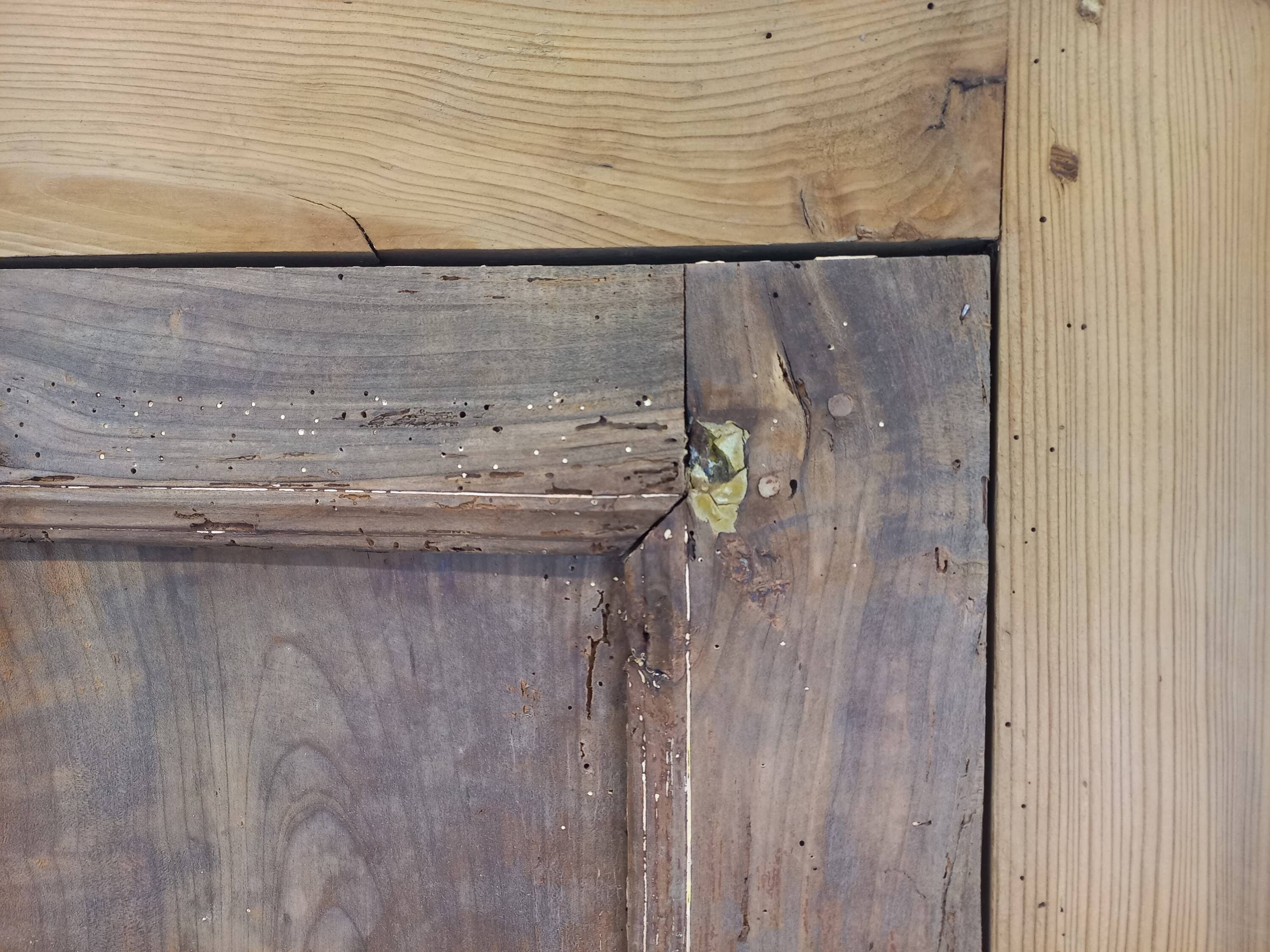 Parisian fir wardrobe