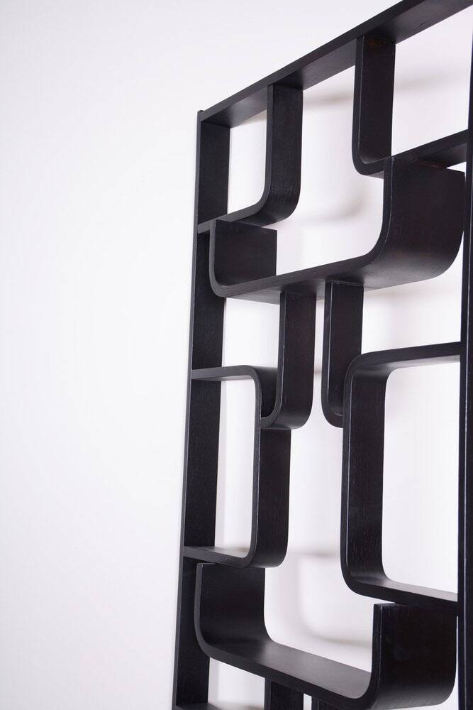 Mid-Century Room Divider Wall Unit by Ludvik Volak for Drevopodnik Holesov, 1960s