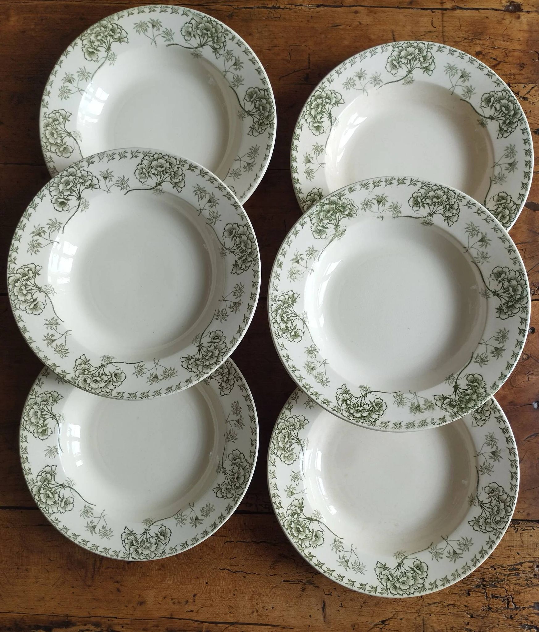 « Palmyre » - 6 assiettes creuses terre de fer Sarreguemines