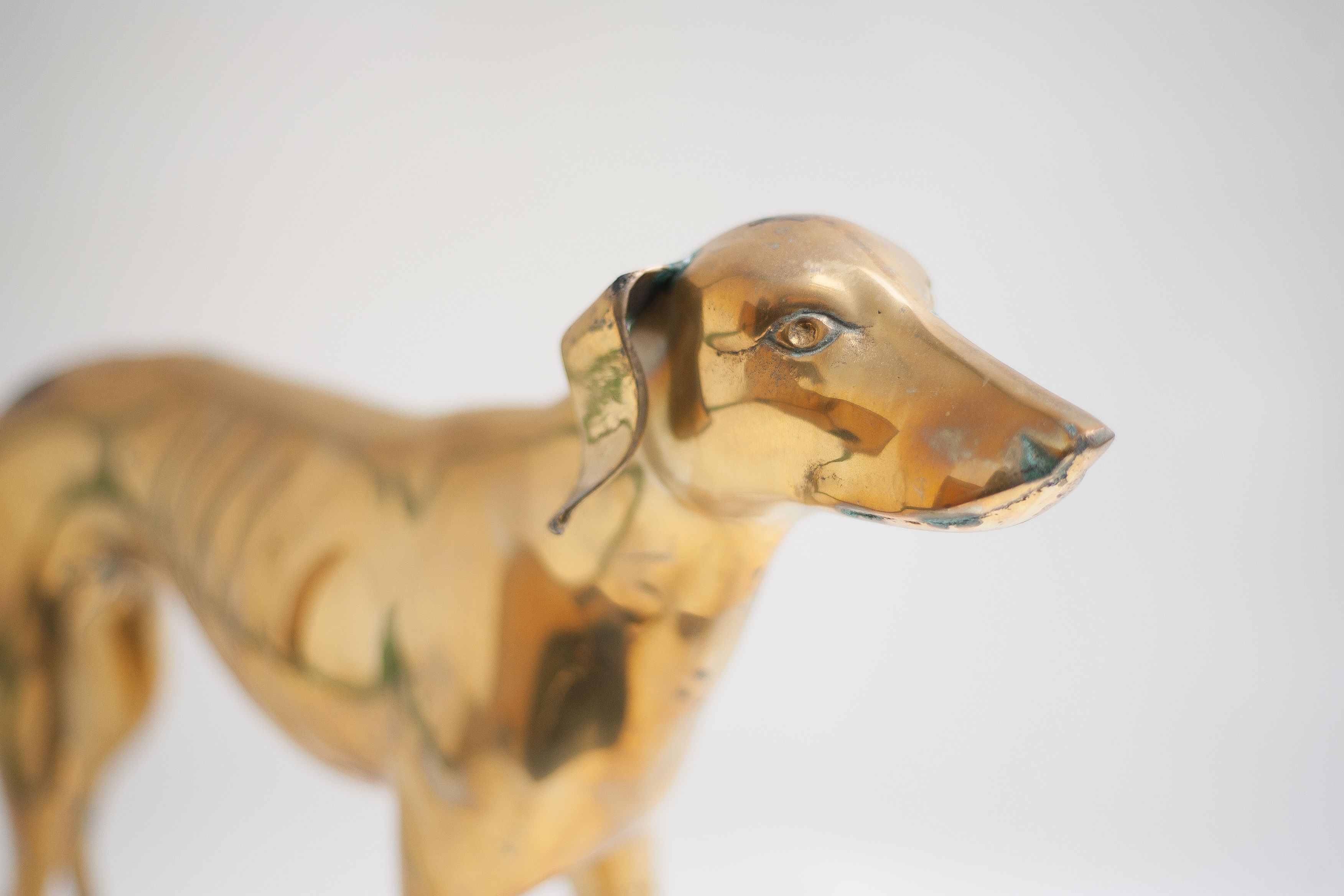 Brass dog