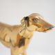 Brass dog
