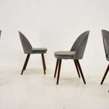 1960s Antonin Suman Set of Four Dining Chairs, Czechoslovakia