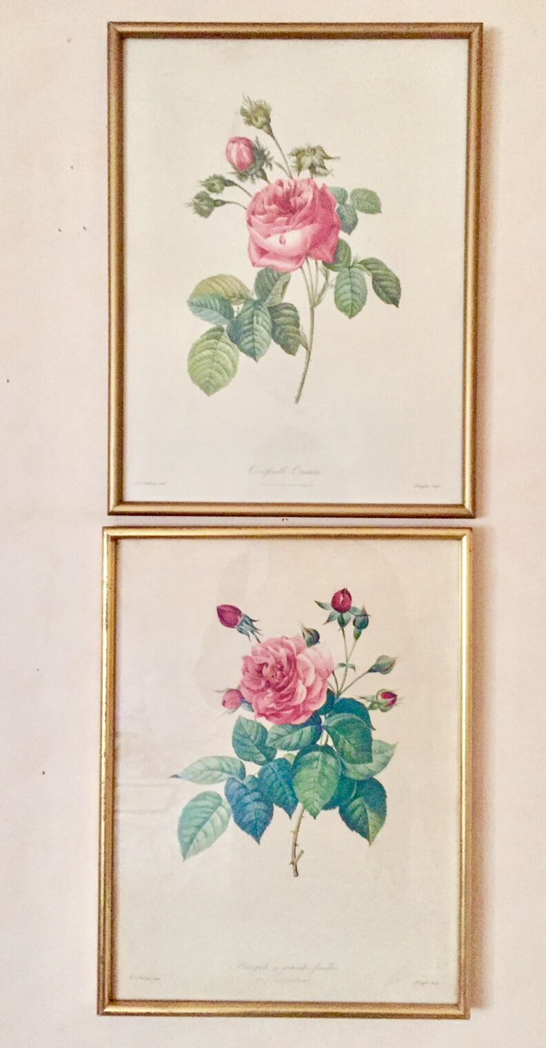 2 framed botanical posters