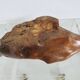 Large olive wood empty pocket, signed, 1966