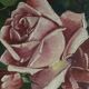 Antique painting - still life with roses - oil painting - 1940s
