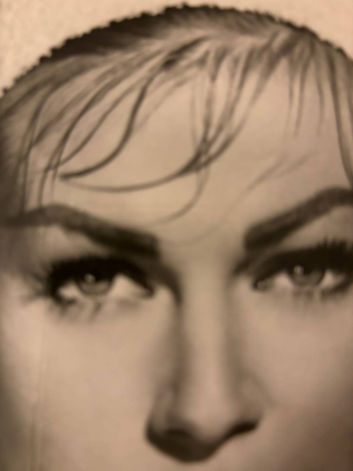 Original film photo of Anita Ekberg in the film Hollywood or Bust