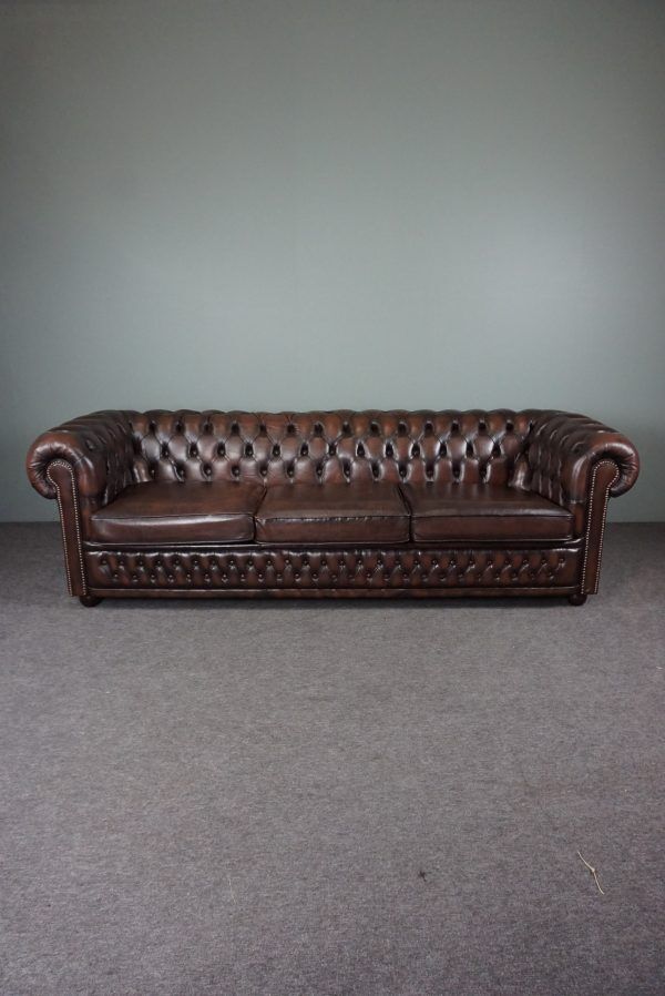 Chesterfield sofa in cowhide, 4 seats
