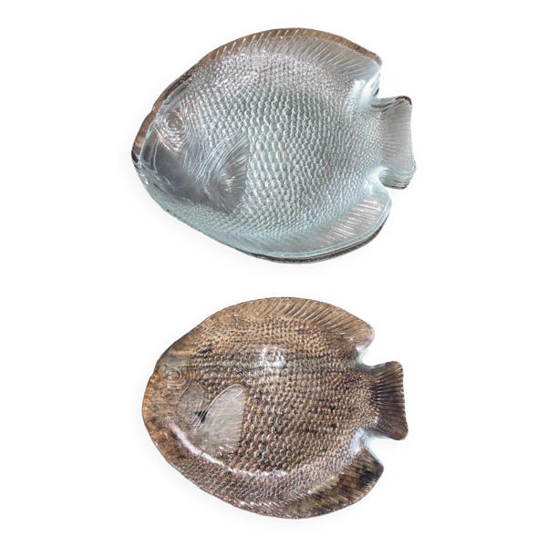 8 Assiettes poisson Arcoroc