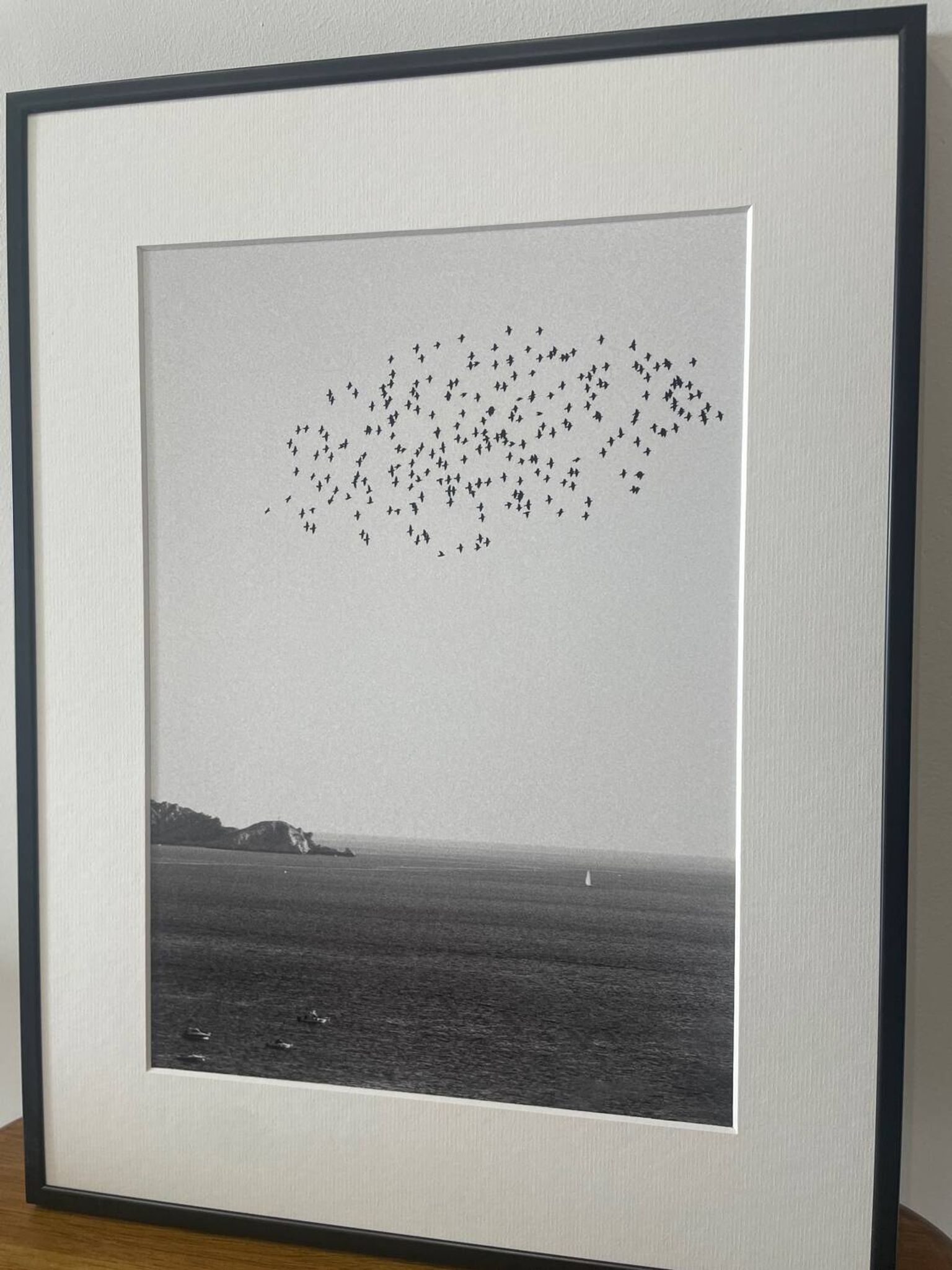 The flight