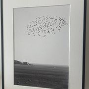 The flight