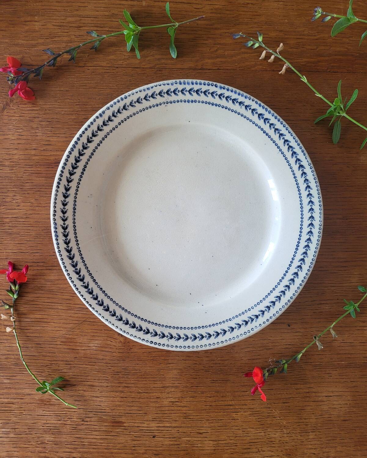 Old opaque porcelain plate gien terre de fer "laurels"