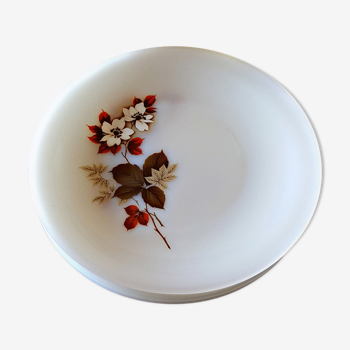 6 assiettes plates Arcopal modèle Aubépine / Avila en opaline