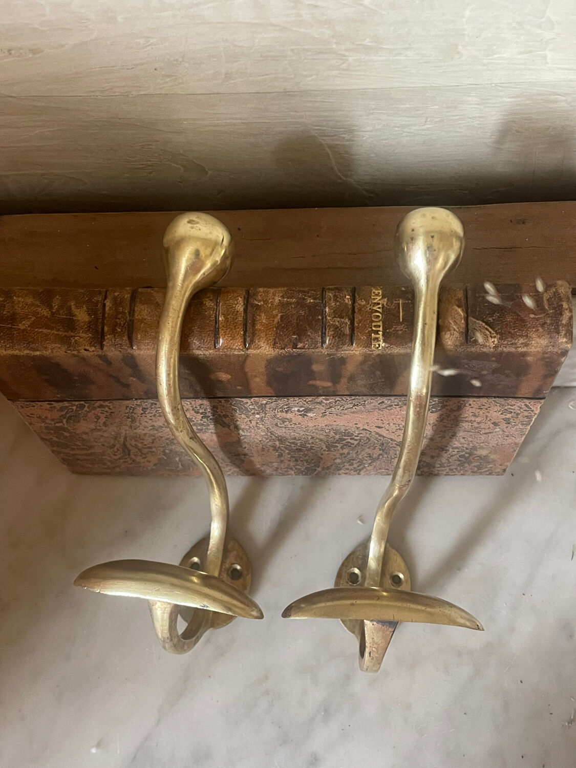 Pair of 19th century brass ball hooks