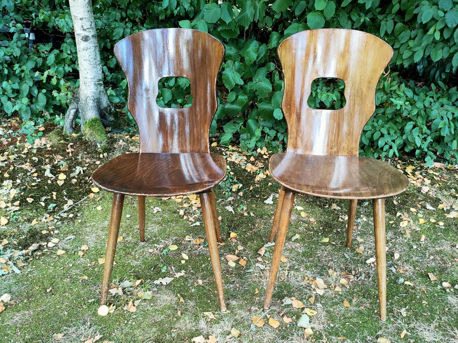 Pair of Baumann Gentiane model chairs
