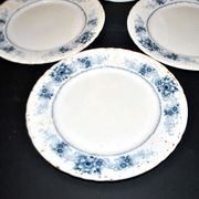 Sarreguemines set of 4 antique Aïda flat plates in earthenware from Sarreguemines U&C 19th century.