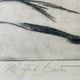 Signed painting sketch The Hille of Home by Muford Carter, wood frame
