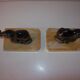 Elephant bookends