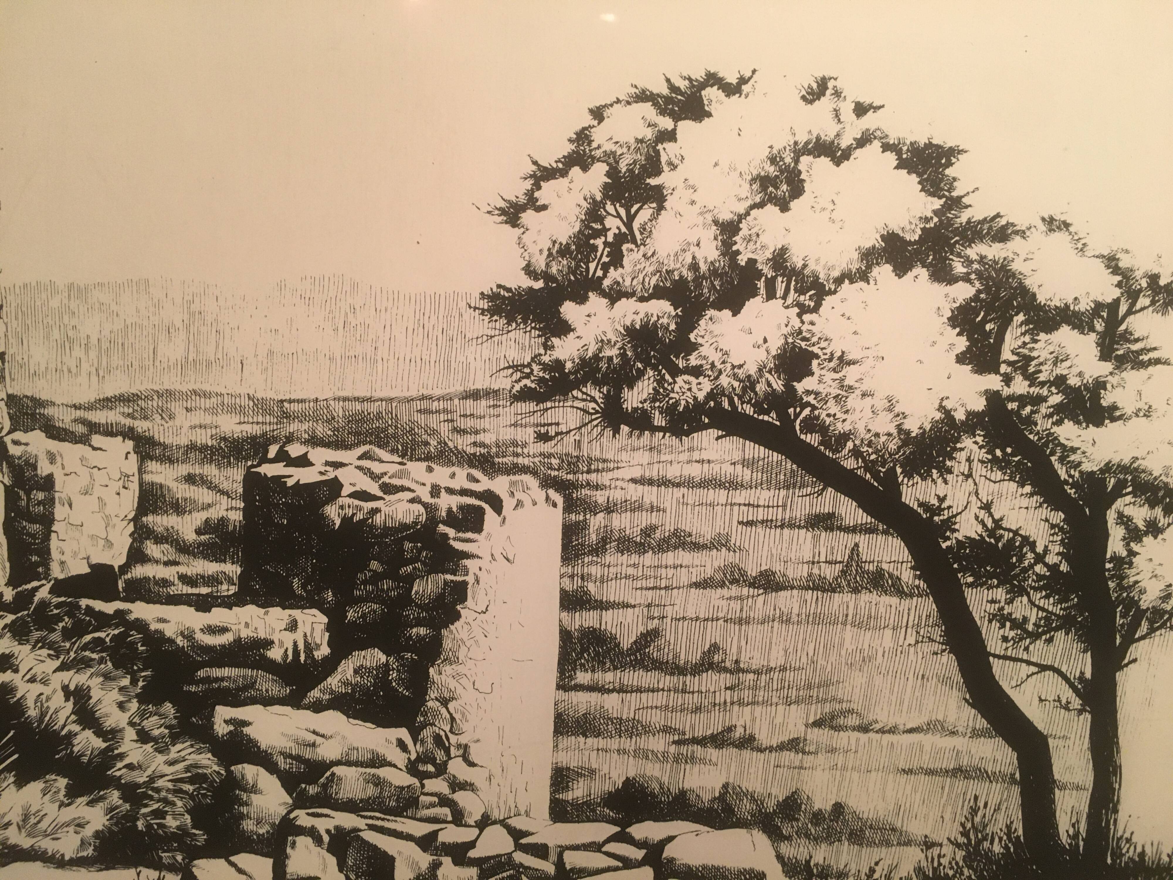 Illustration/signed paper print, framed, 60s/70s