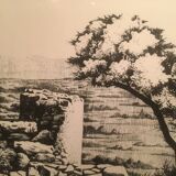 Illustration/signed paper print, framed, 60s/70s