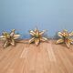 Large floral wall light in brass and gilded metal, Willy Daro, 1970.
