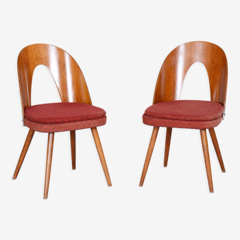 Pair of mid century chairs designed by antonín šuman, 1950s, czechia