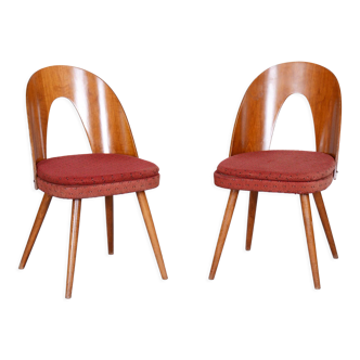 Pair of mid century chairs designed by antonín šuman, 1950s, czechia