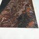 Lithograph of "Israel" by Joelle SERVE, signed