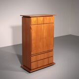 Iconic Italian design cabinet “Il Cerniera” by Silvana Arcelli Montanari for Tonelli (1970s)