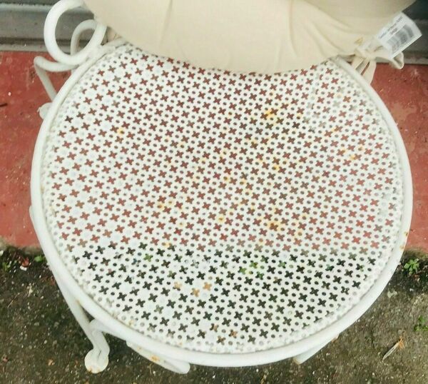 Paire de chaises de jardin en fer forgé patiné XX siècle Fauteuils