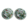 Duo of plates in barbotine decorated with two birds on a fruit tree