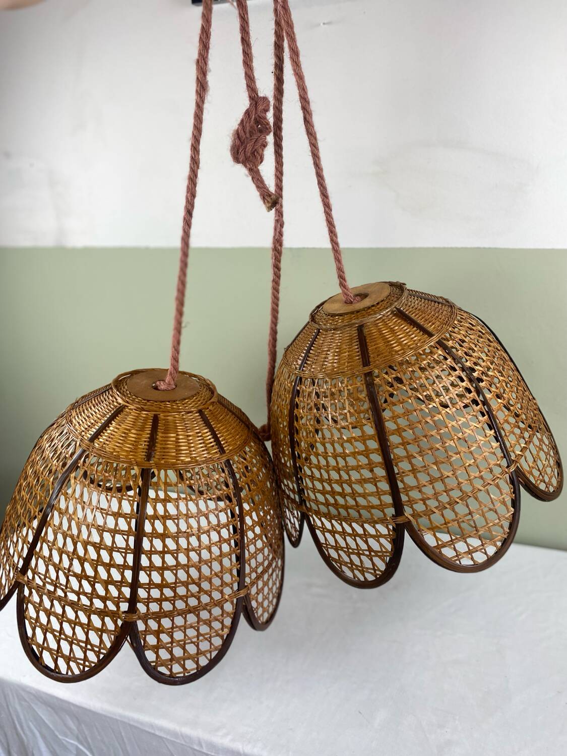 Vintage tulip hanging