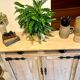 Parisian buffet in raw wood