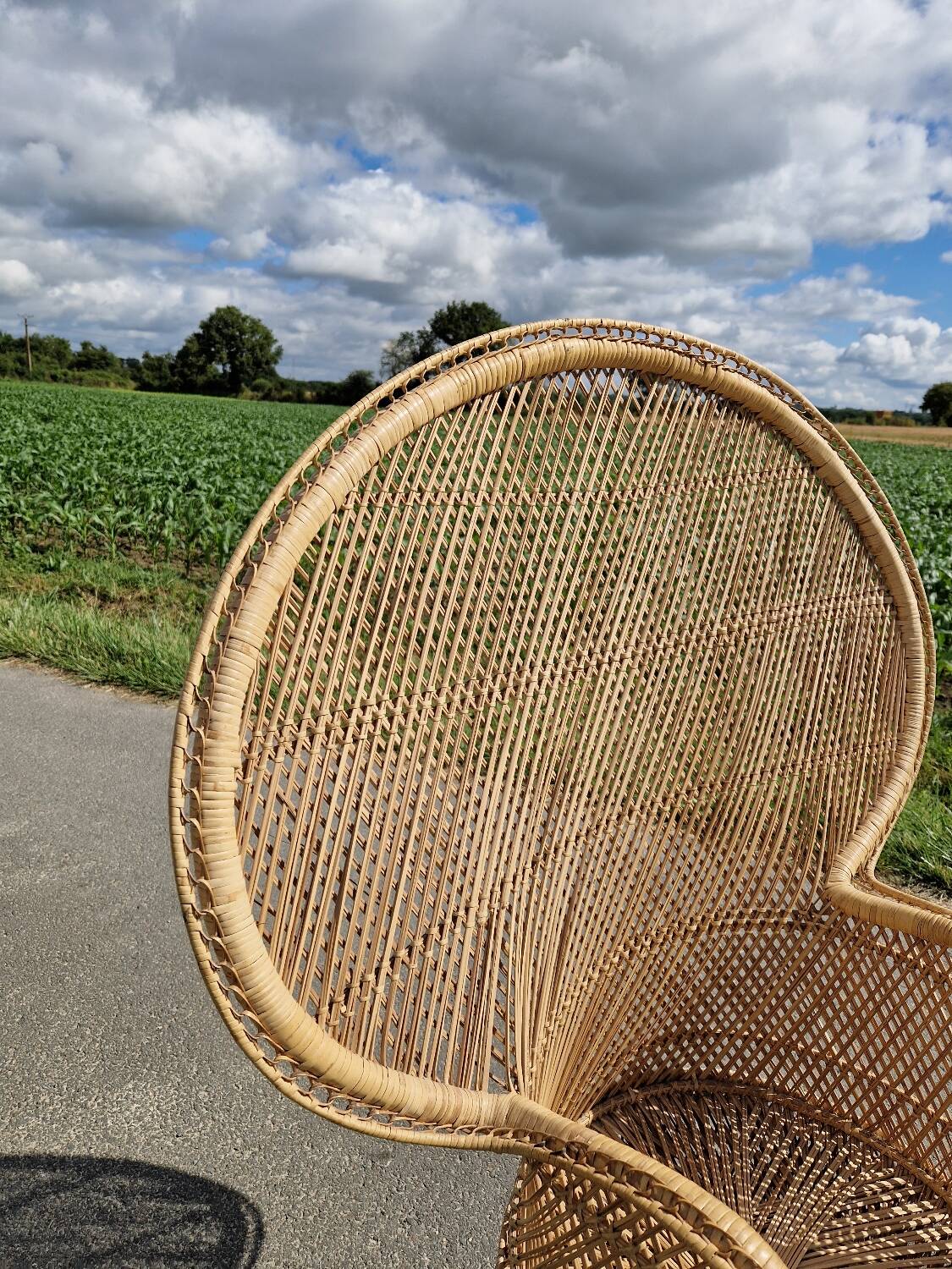 Emmanuelle adult armchair