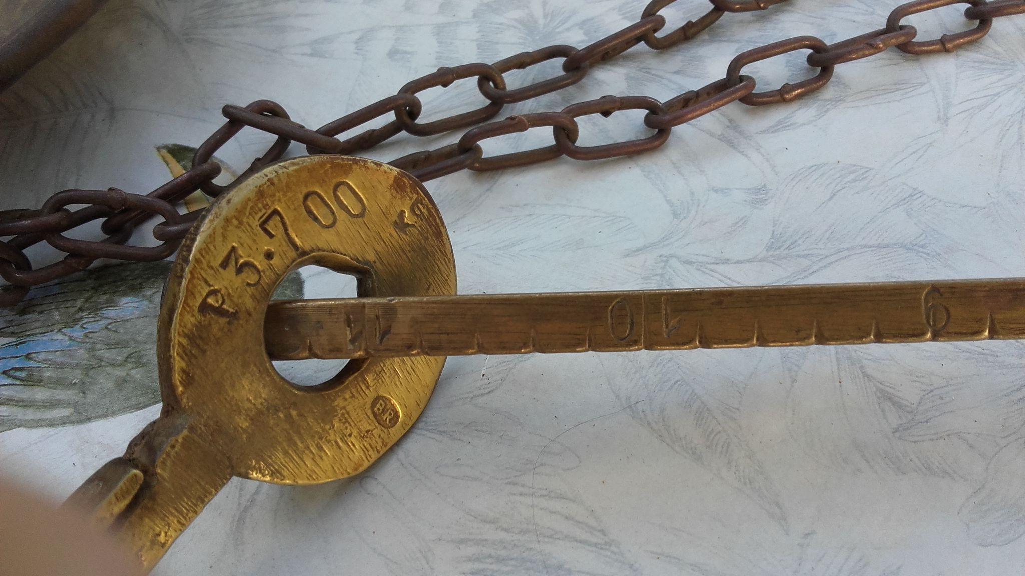 Antique copper scale