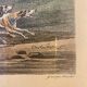 Old engraving, The Hunter after Carle Vernet 20th century