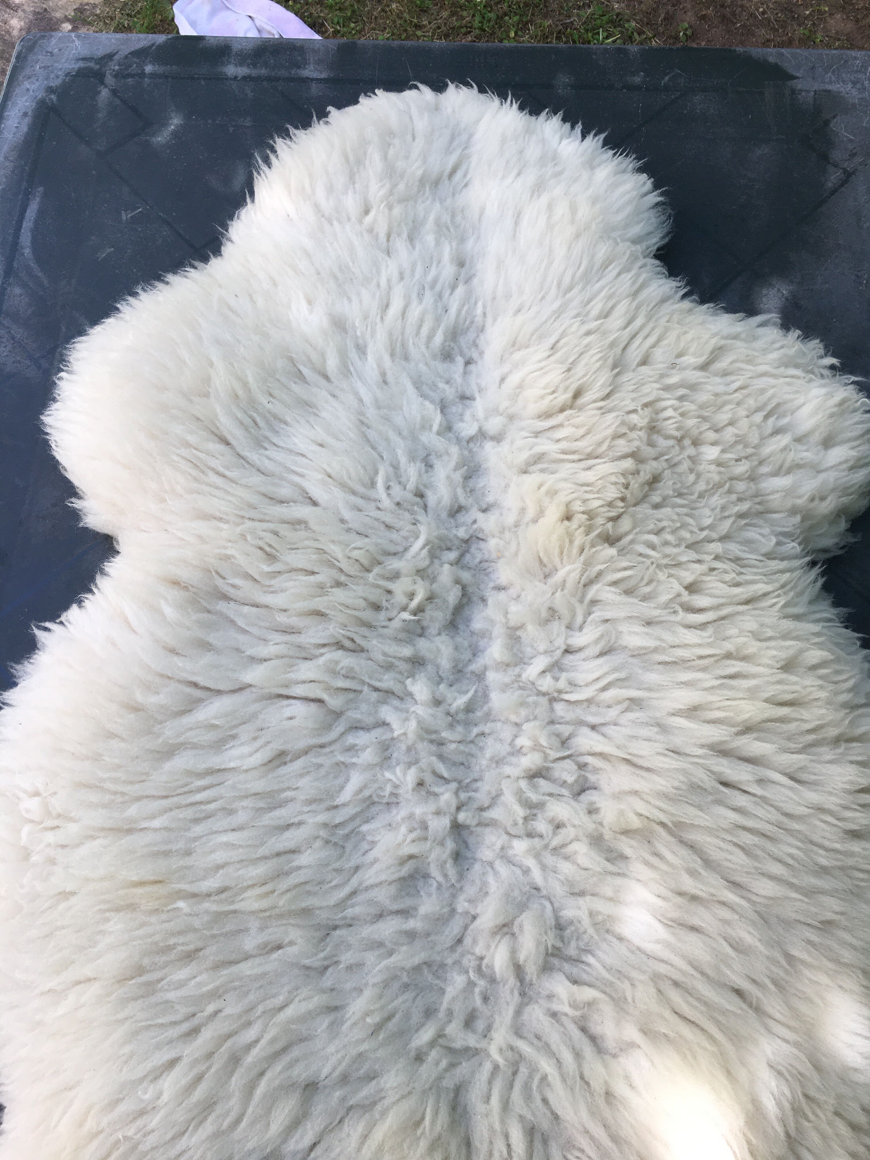 Thick and natural sheepskin 100 cm x 60 cm