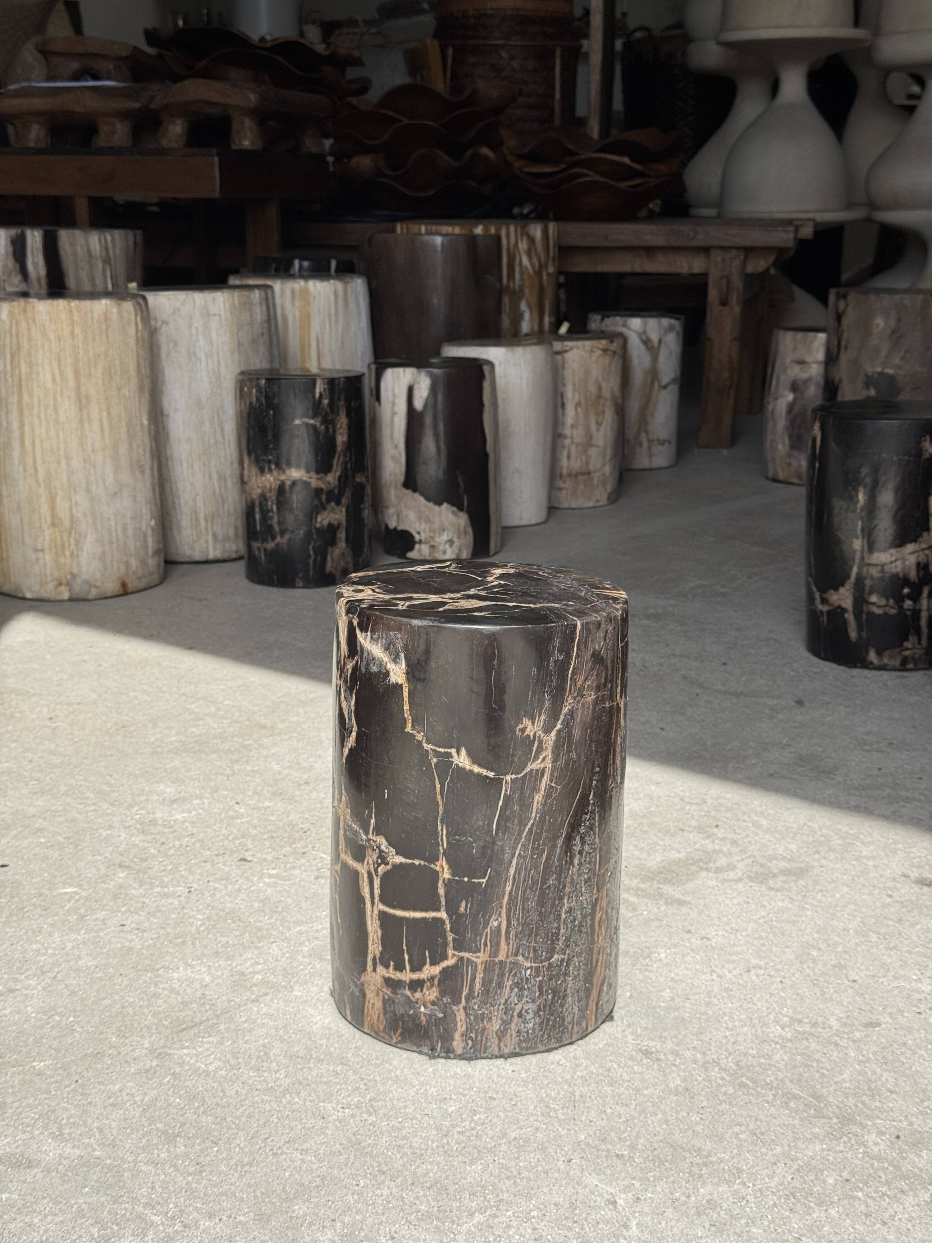 Table d'appoint en bois pétrifié noir